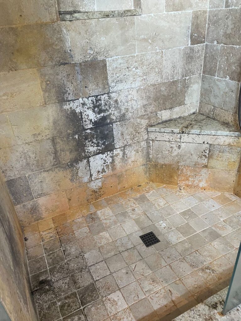 Neglected stone shower with heavy mold, mildew and dark grout before restoration
