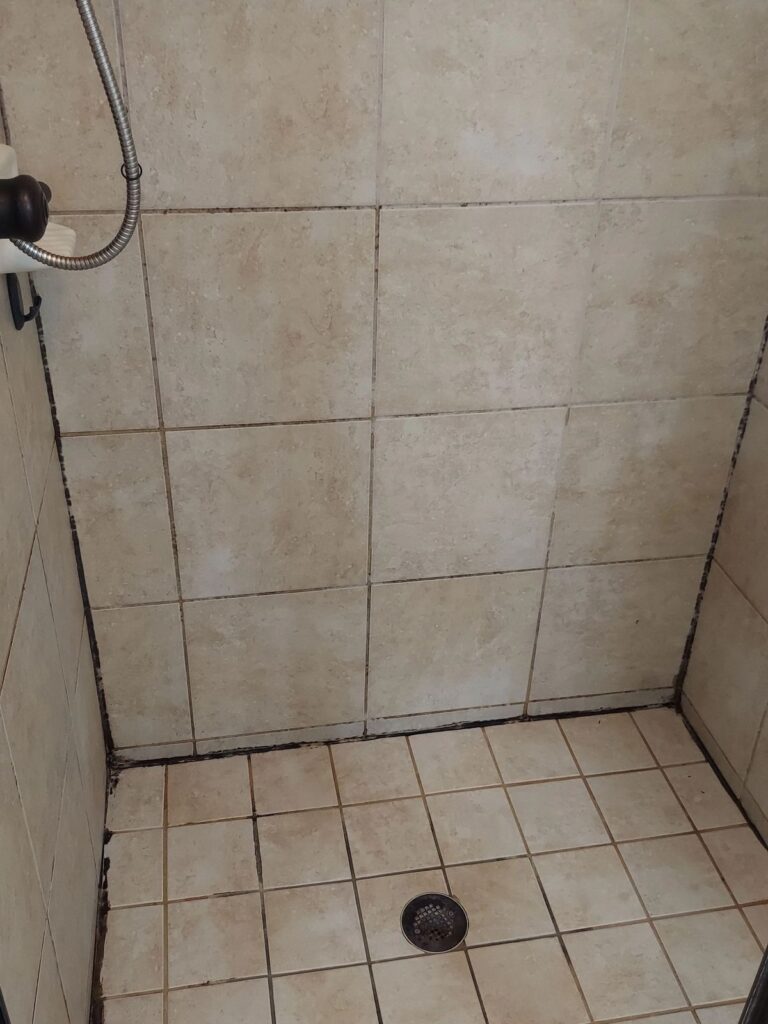 Shower before grout restoration with dirty grout lines